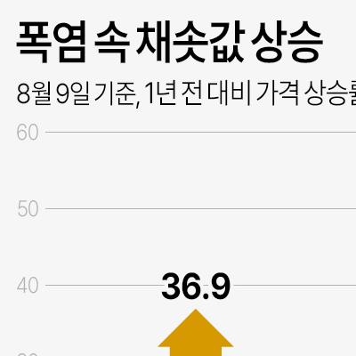 [그래픽] 폭염 속 채솟값 상승