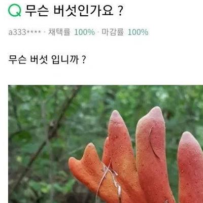 지구에서 가장 위험한 버섯.