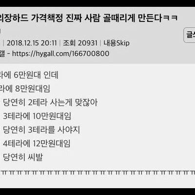 외장하드 가격책정의 함정