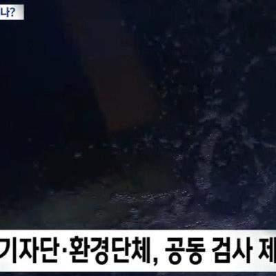 대구 녹조라떼 검사거부