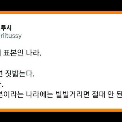 일본 국민성을 가장 잘 표현한 팩폭글 ㄷㄷ