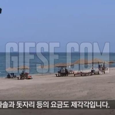 "만원짜리생선도회뜨면가격이달라지잖아요"